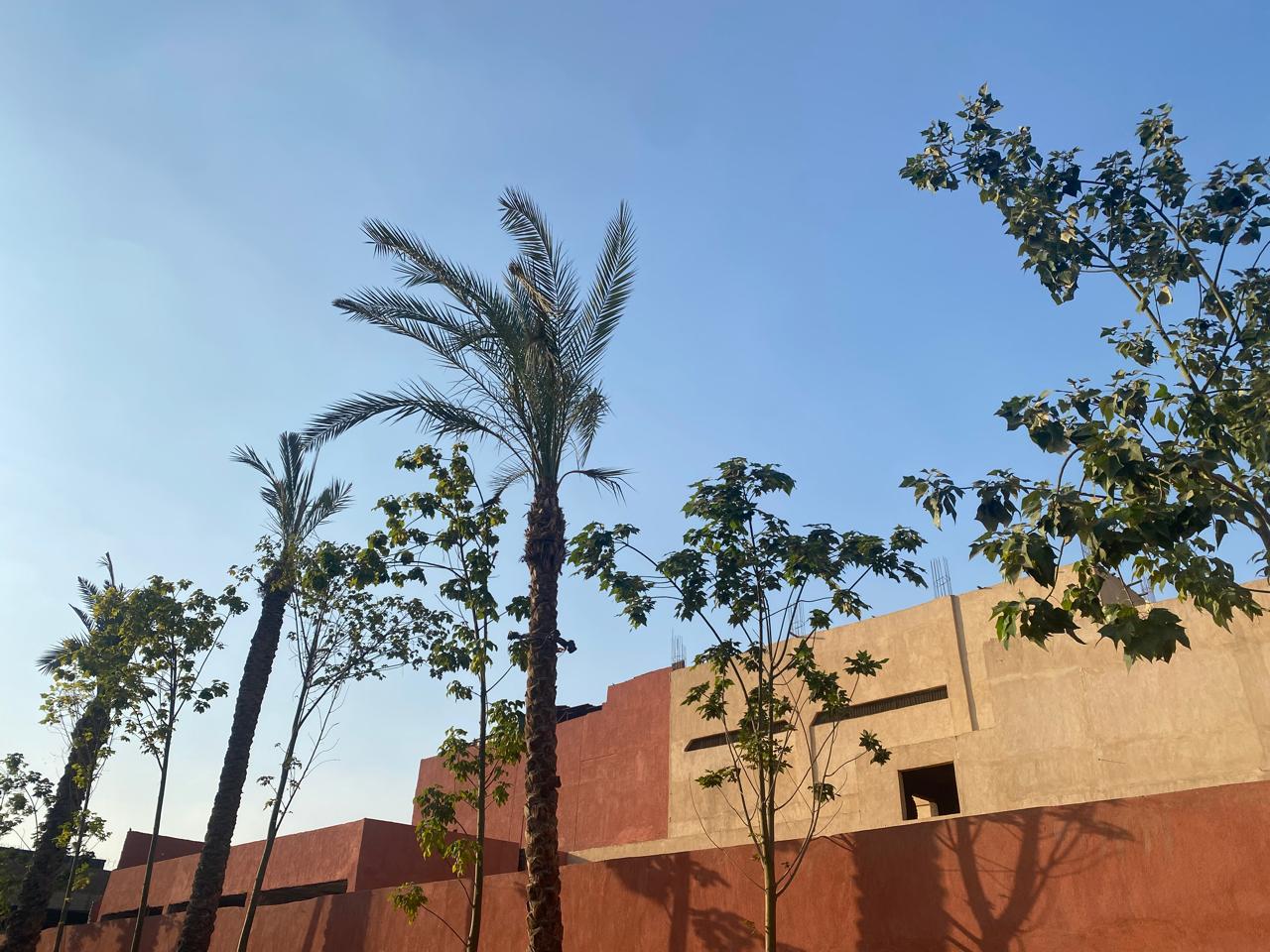  تطوير الهوية البصرية للطريق الدائري