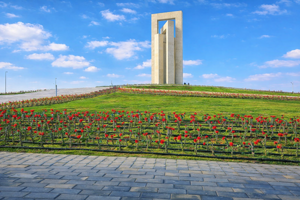 مركز معلومات الدوار